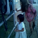 Looking at the horses with Brooklyn, Easter at the Bork's