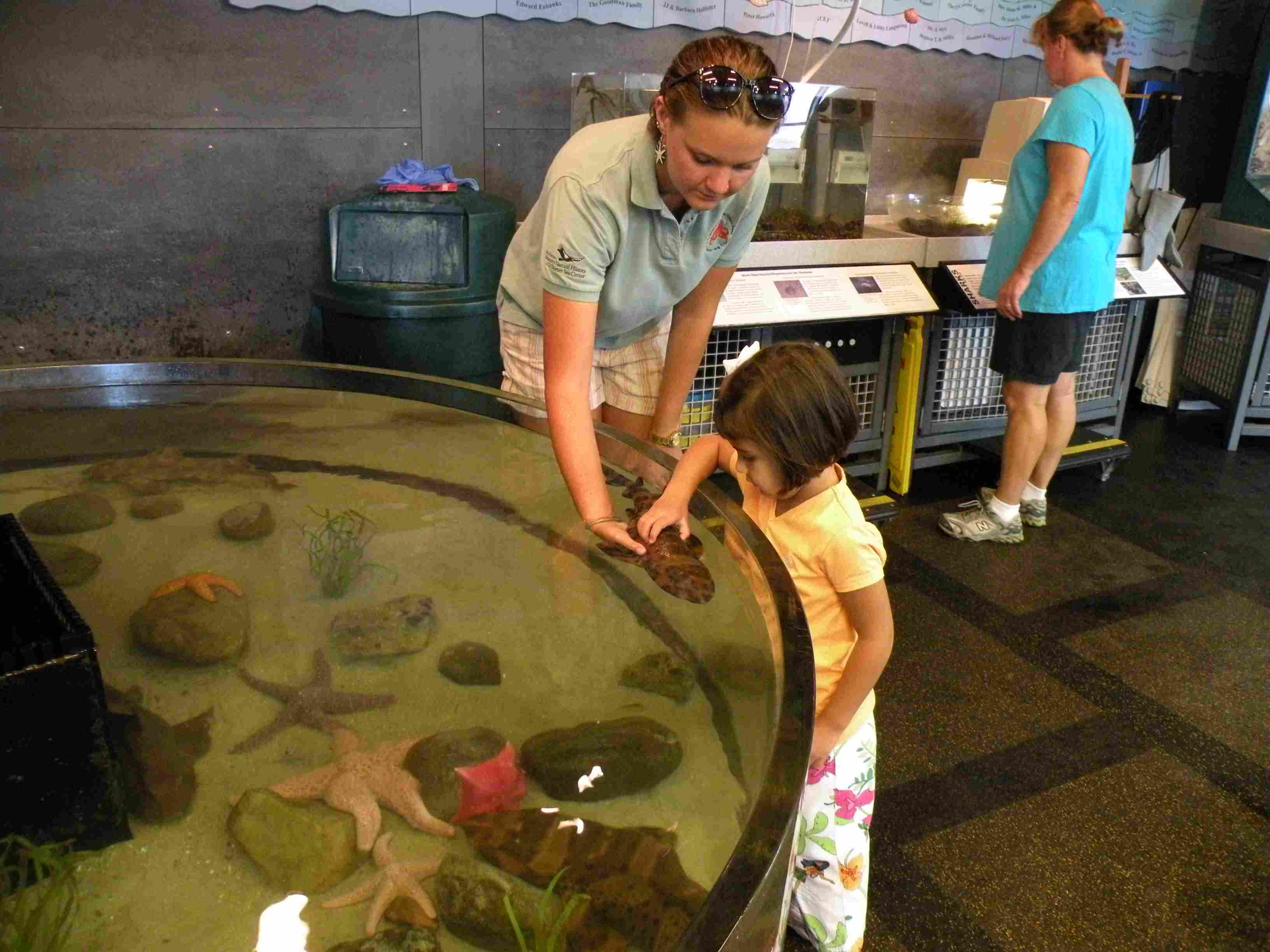 Hope petting a shark, Jellyfish Museum, Aug 2012
